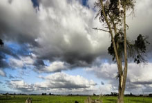 亚特兰大惊险晋级八强，强势登顶！