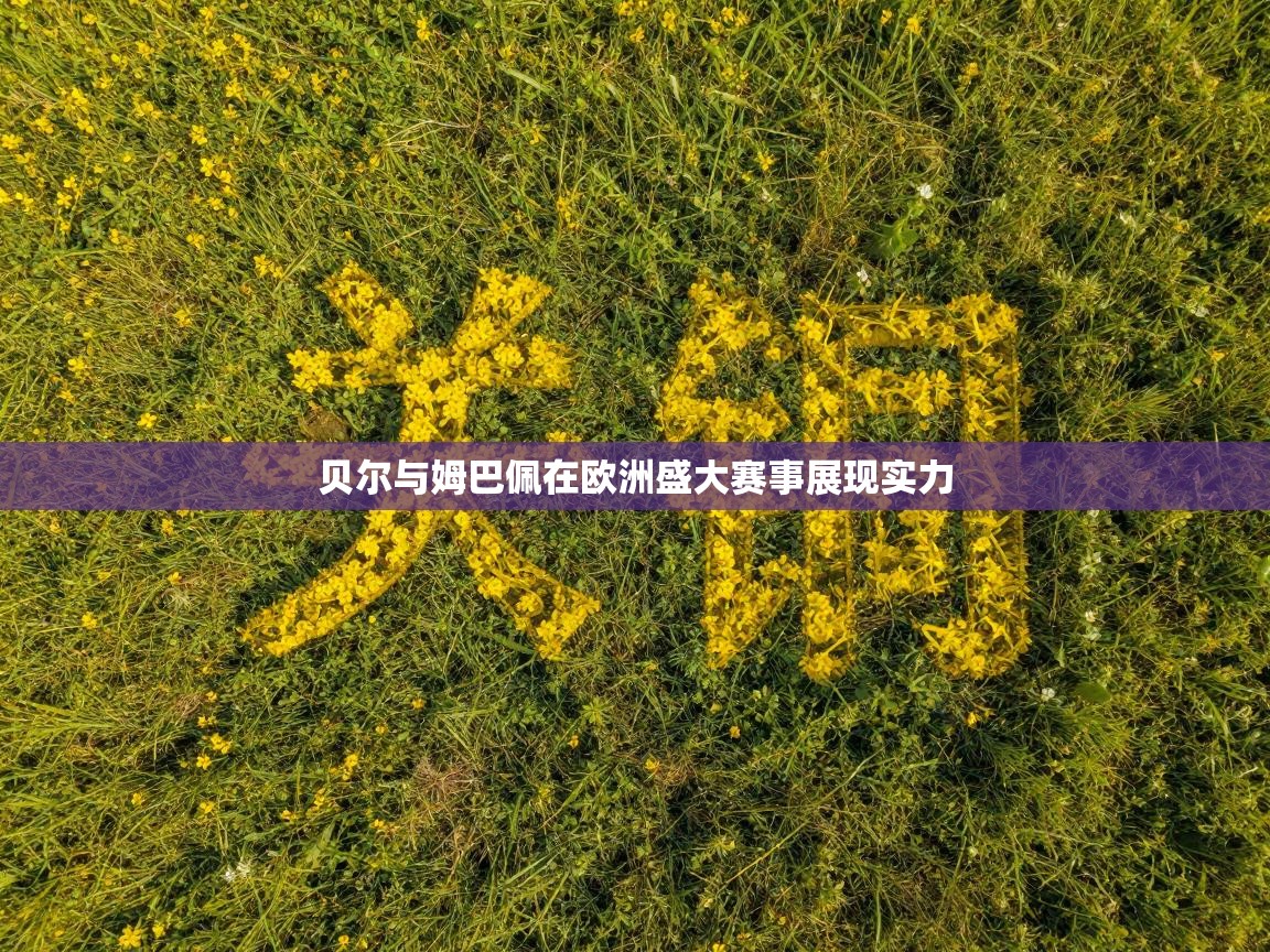 贝尔与姆巴佩在欧洲盛大赛事展现实力 第2张