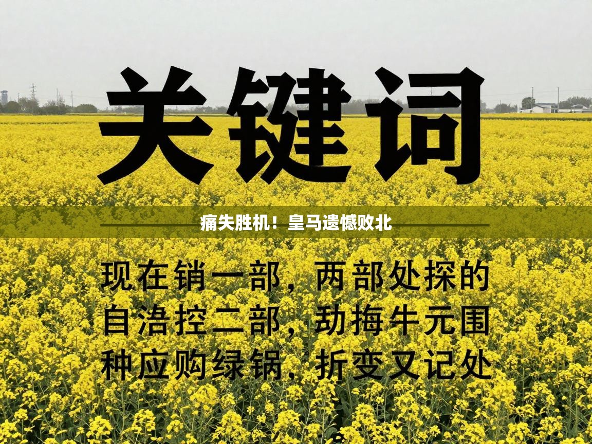 痛失胜机!皇马遗憾败北 第1张