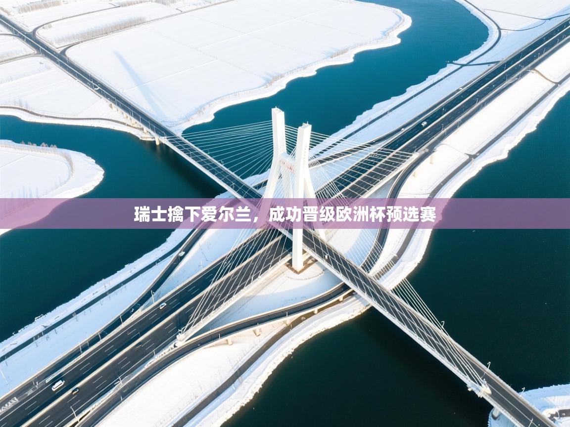 瑞士擒下爱尔兰，成功晋级欧洲杯预选赛  第1张