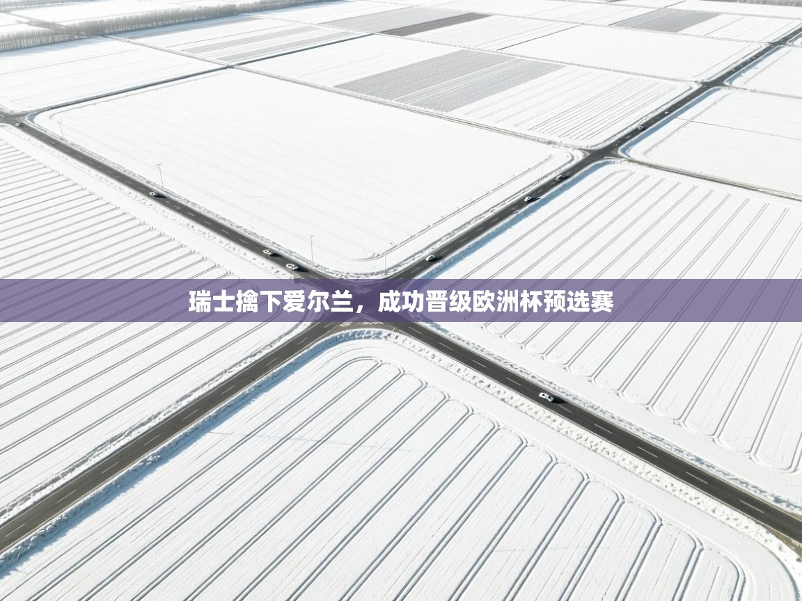 瑞士擒下爱尔兰，成功晋级欧洲杯预选赛  第2张